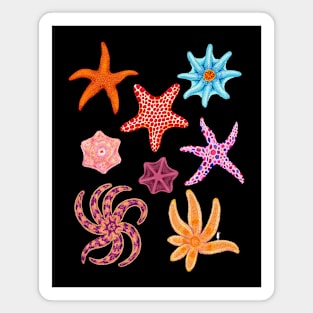 Starry Starfish Magnet